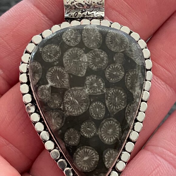 Agatized Coral Fossil Gemstone Stone Jewelry Crystal Pendant - Picture 6 of 6